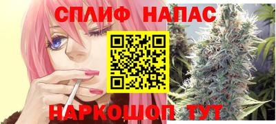 сатива Можга