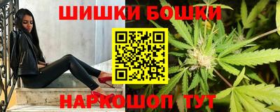 сатива Можга