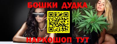 сатива Можга