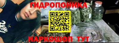 сатива Можга