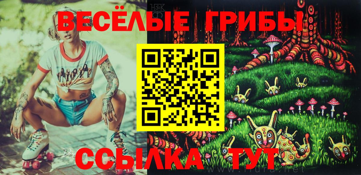 Галлюциногенные грибы Cubensis Якутск